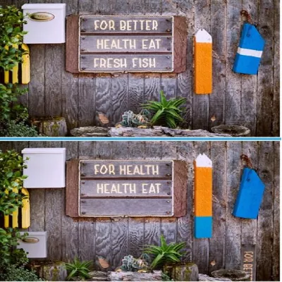 Find The Difference Fovere - 免费在线游戏