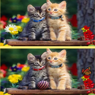 Spot Differs - 免费在线游戏